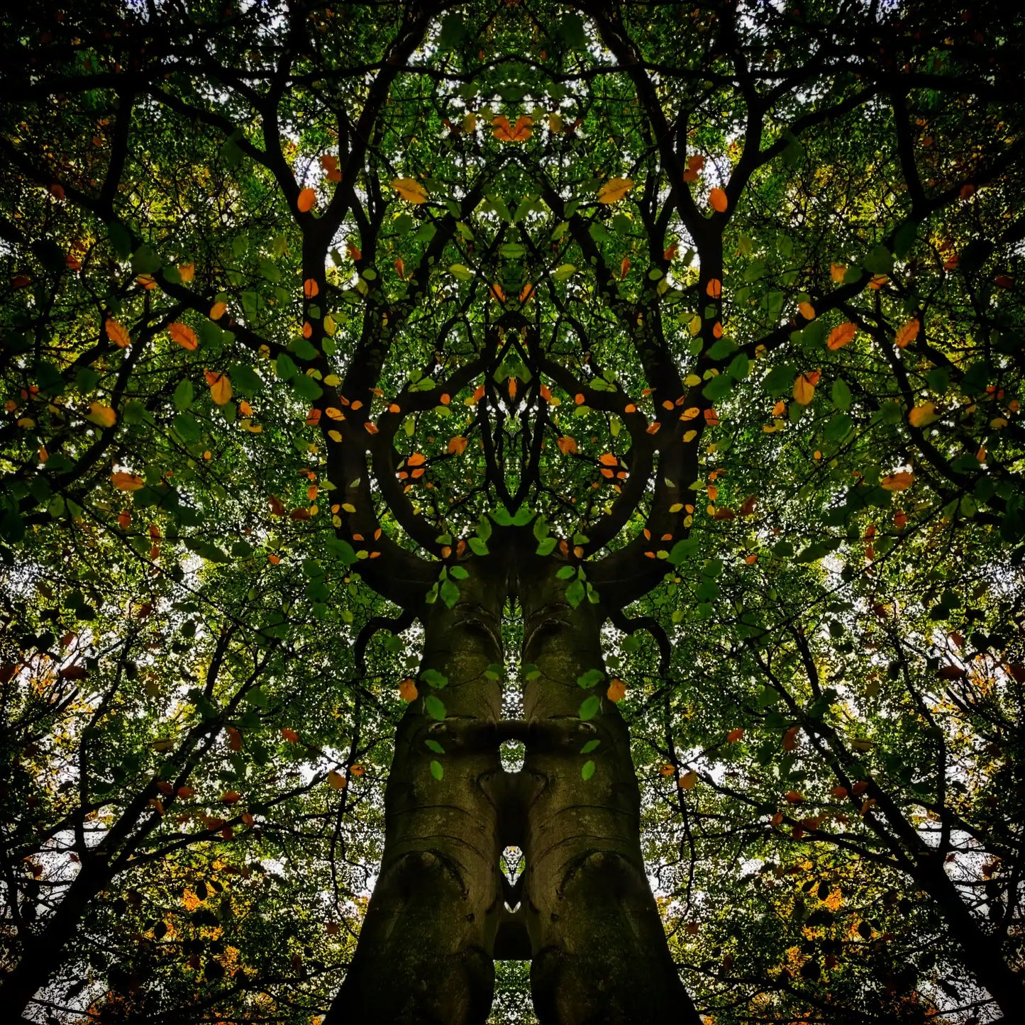 Autumn Lovers Poster