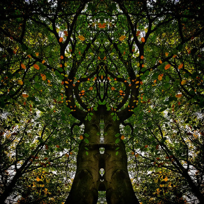 Autumn Lovers Poster