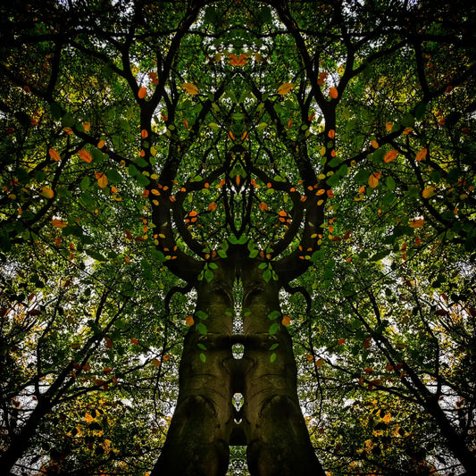 Autumn Lovers Poster