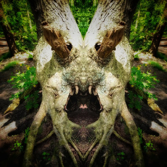 The Big Fang Poster - Forest Dimensions