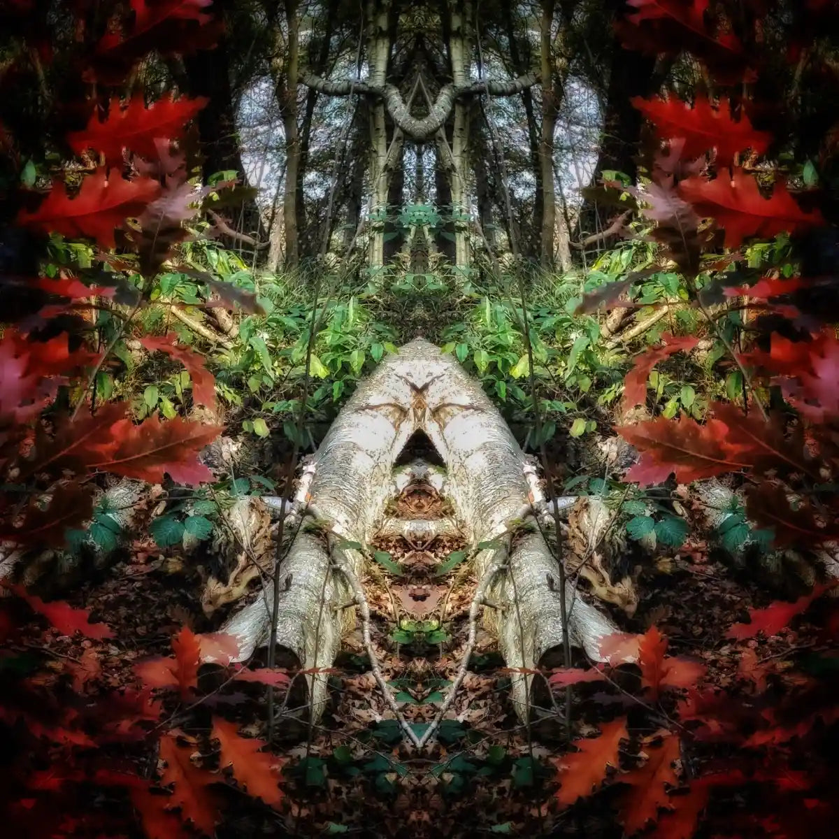 Sleeping Eskimo Poster - Forest Dimensions