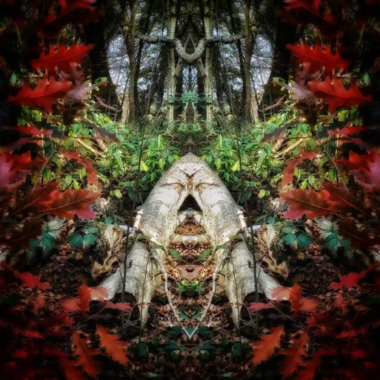 Sleeping Eskimo Poster - Forest Dimensions