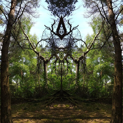 Queen of Pines Poster - Forest Dimensions