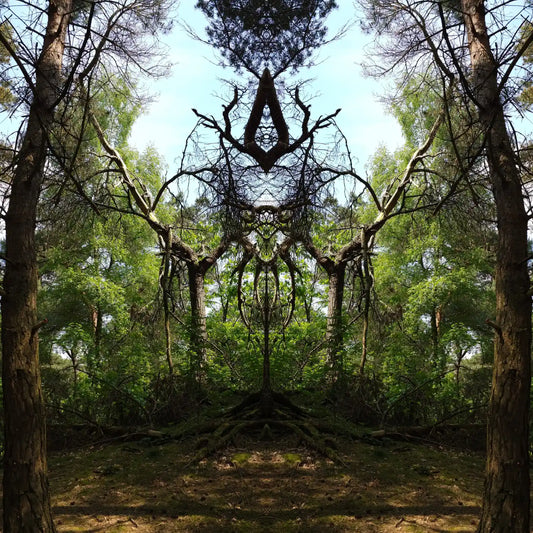 Queen of Pines Poster - Forest Dimensions