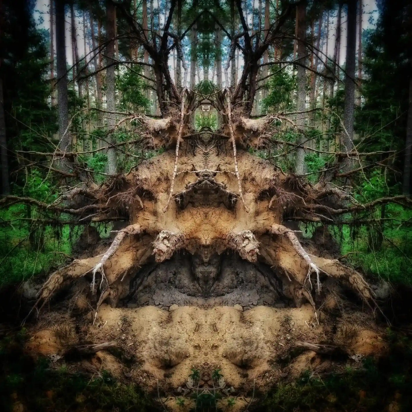 Root Guardian Poster - Forest Dimensions