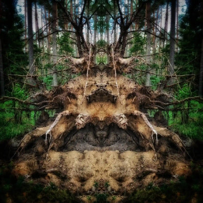 Root Guardian Poster - Forest Dimensions