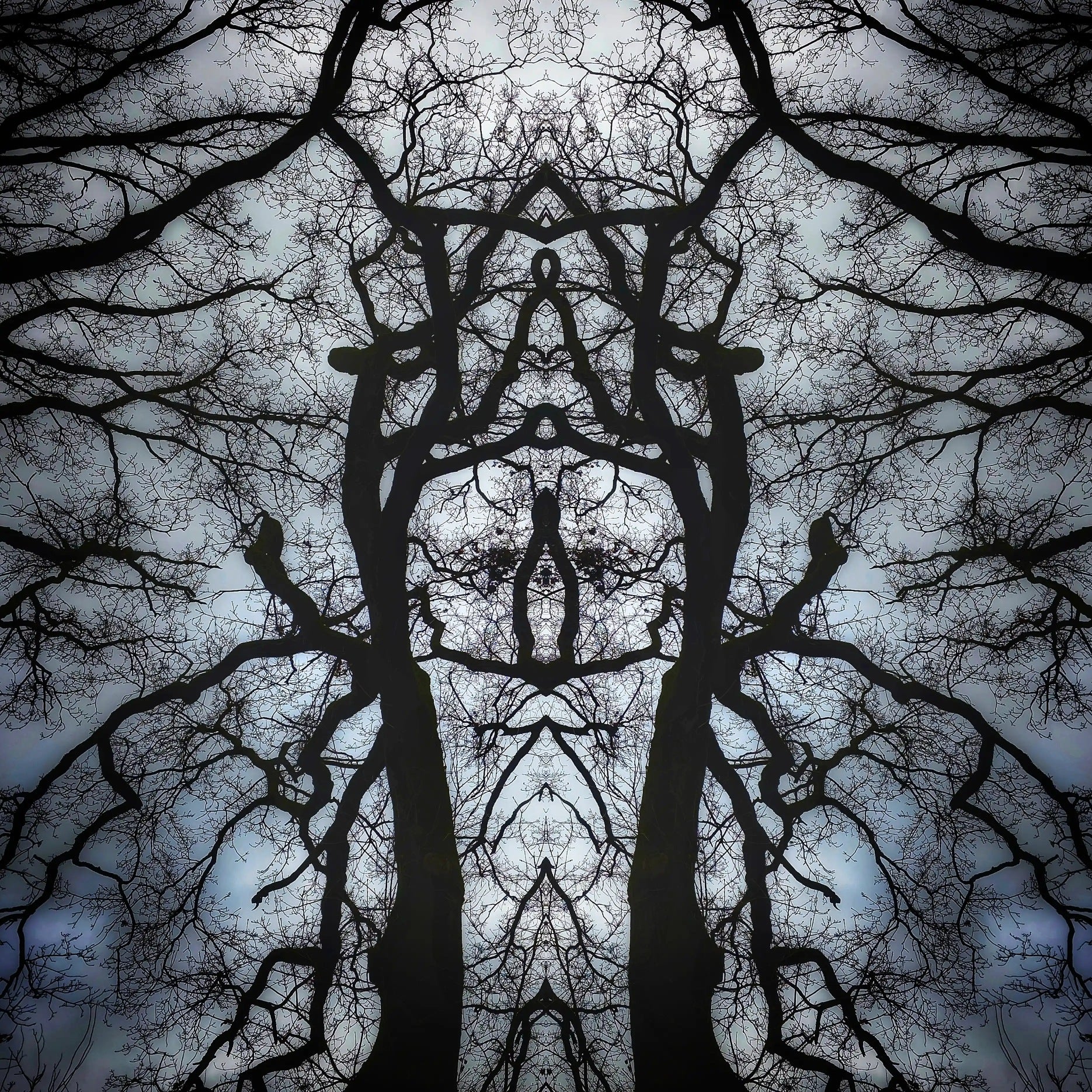 Shadow Sentinel Poster - Forest Dimensions