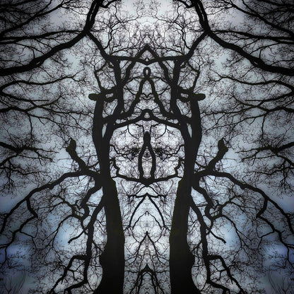 Shadow Sentinel Poster - Forest Dimensions