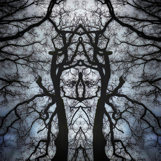 Shadow Sentinel Poster - Forest Dimensions