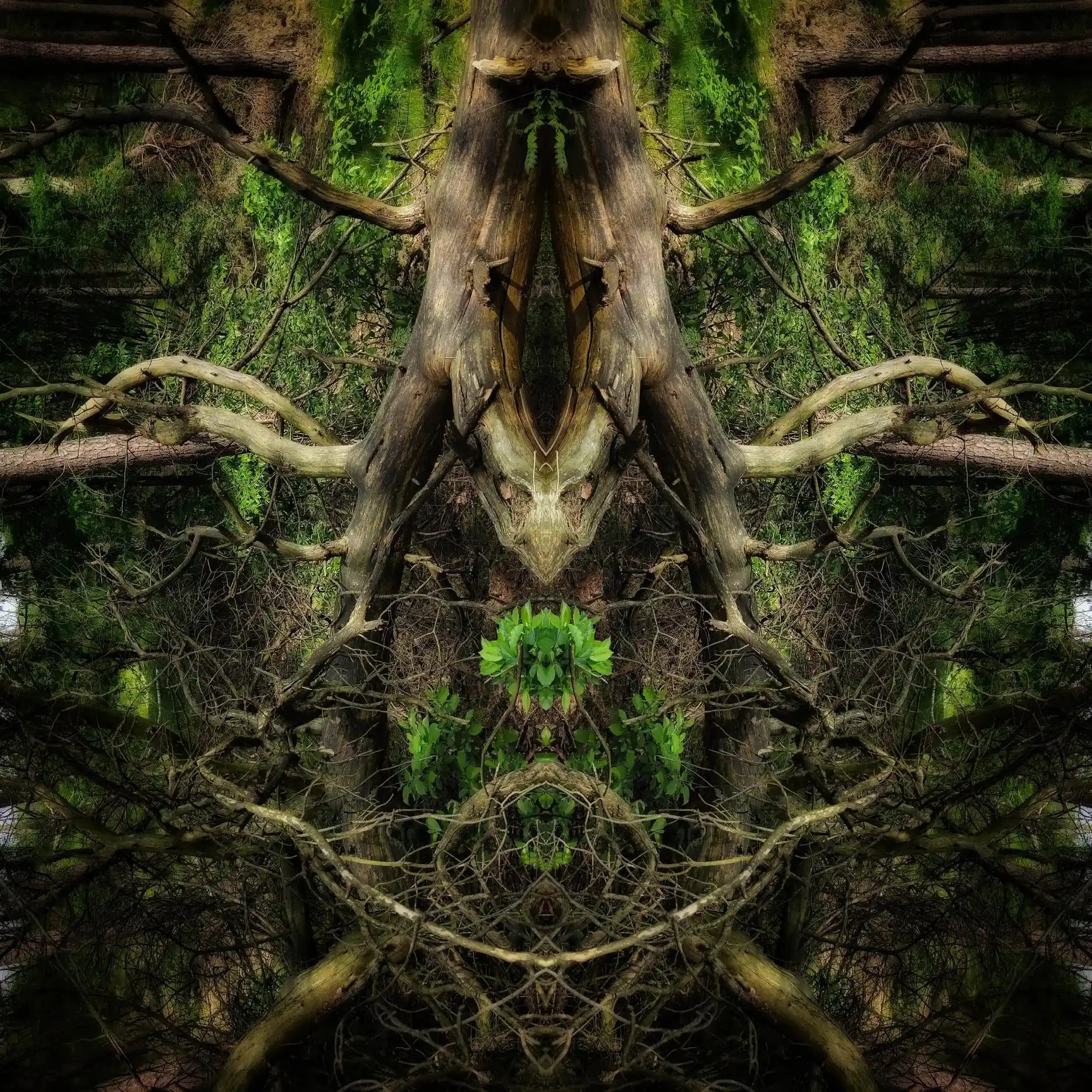 Vengard Guardian Poster - Forest Dimensions