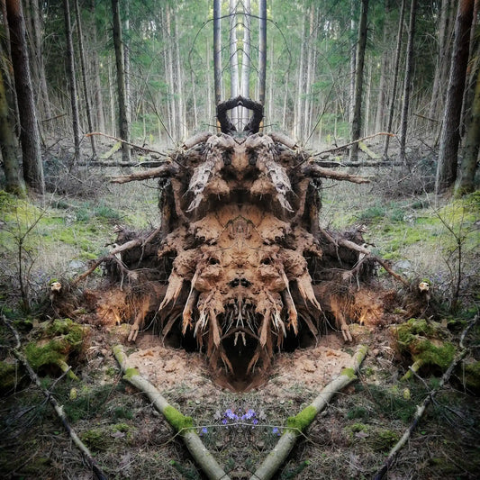 The Ancestor Poster - Forest Dimensions