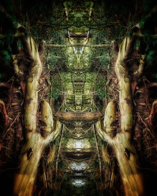 Giant Twins Poster - Forest Dimensions