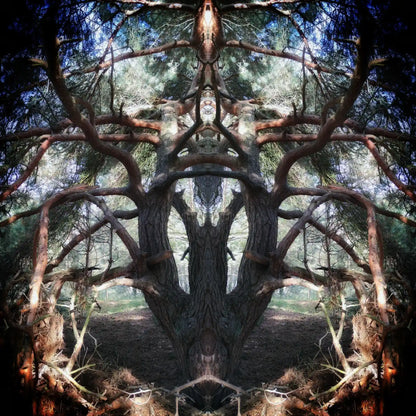 Pine Guardian Poster