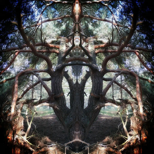 Pine Guardian Poster