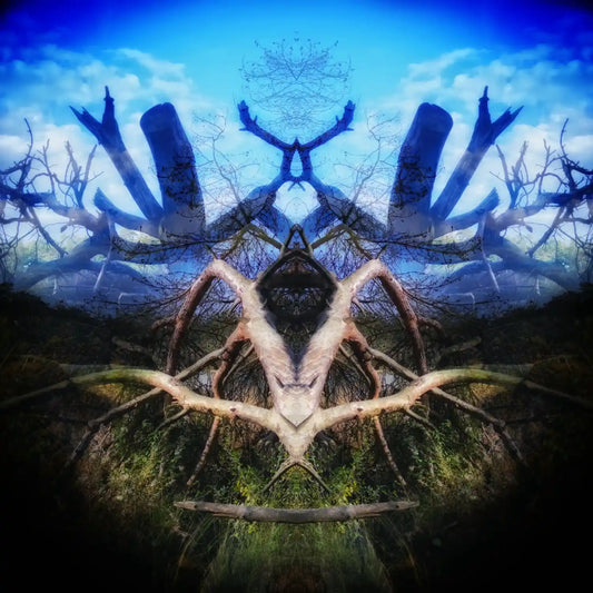 The Layers Of Reflections Poster - Forest Dimensions