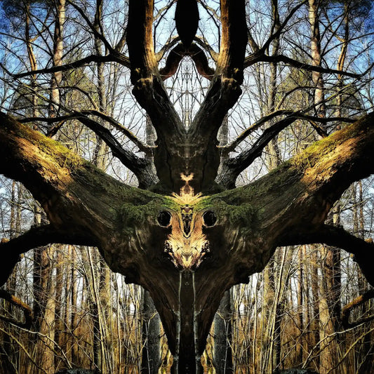 The Sorcerer Poster - Forest Dimensions