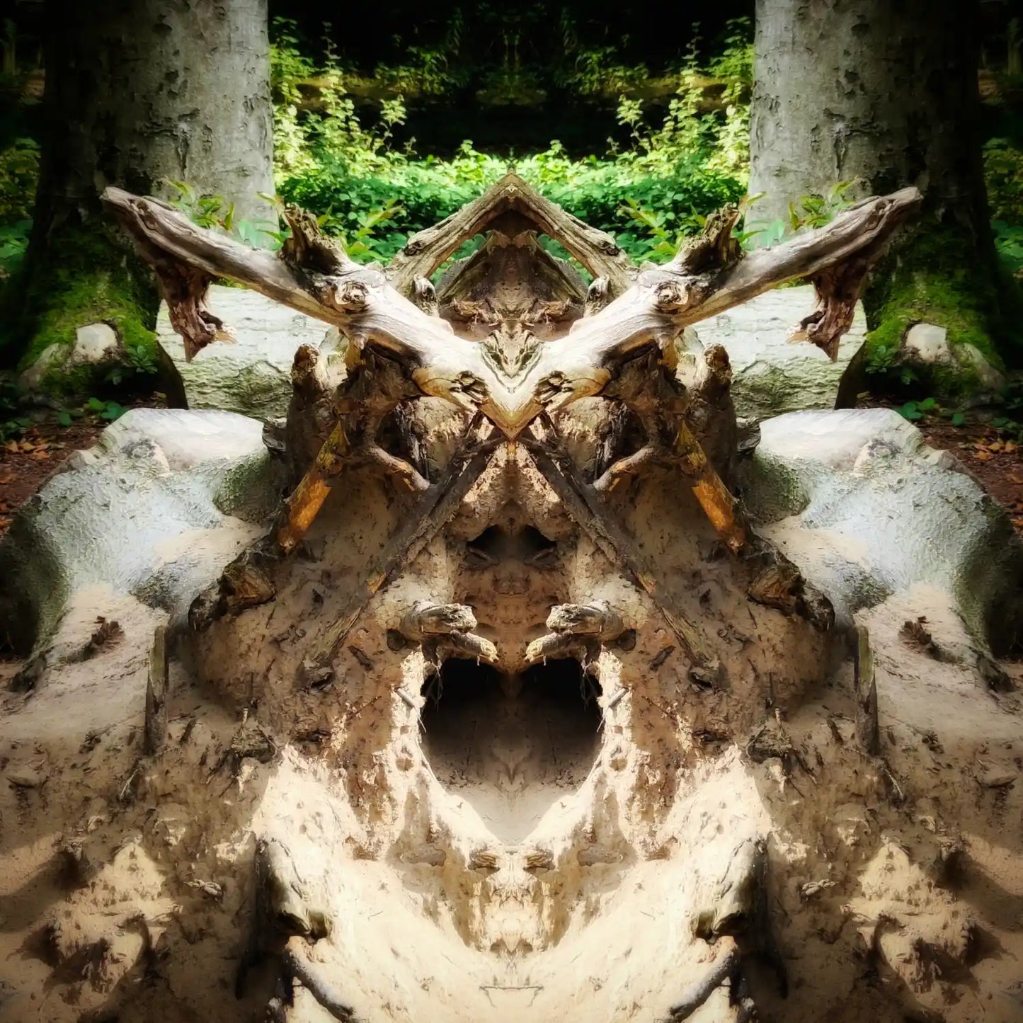 The Stump Viking Poster - Forest Dimensions