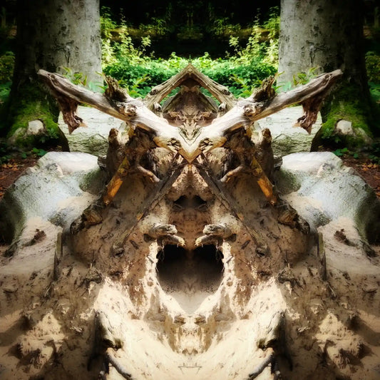 The Stump Viking Poster - Forest Dimensions