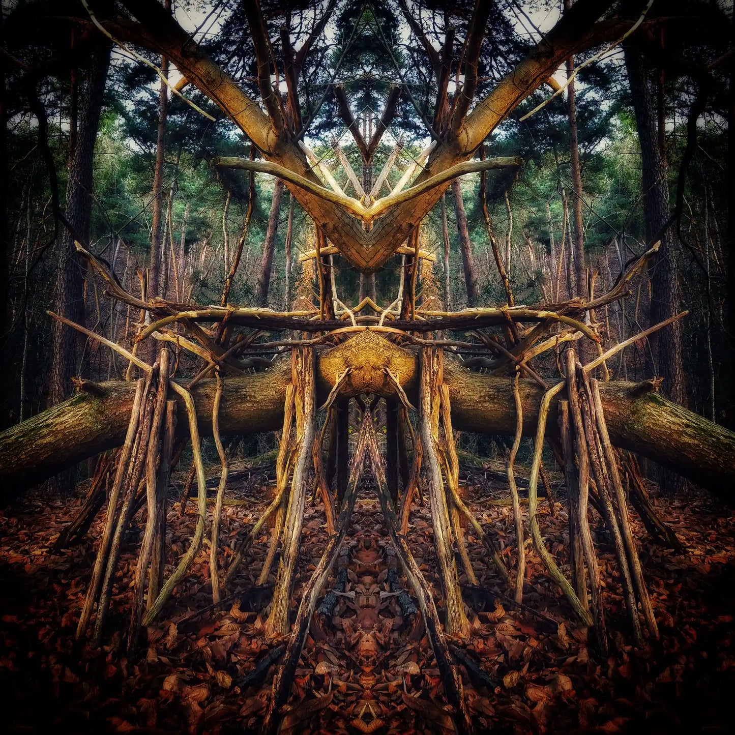 Woodland Warden Poster