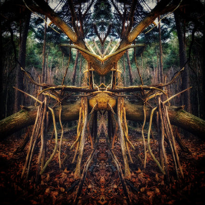 Woodland Warden Poster