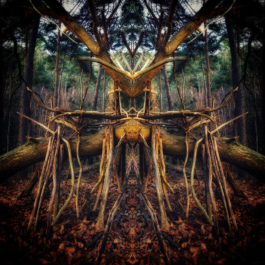 Woodland Warden Poster